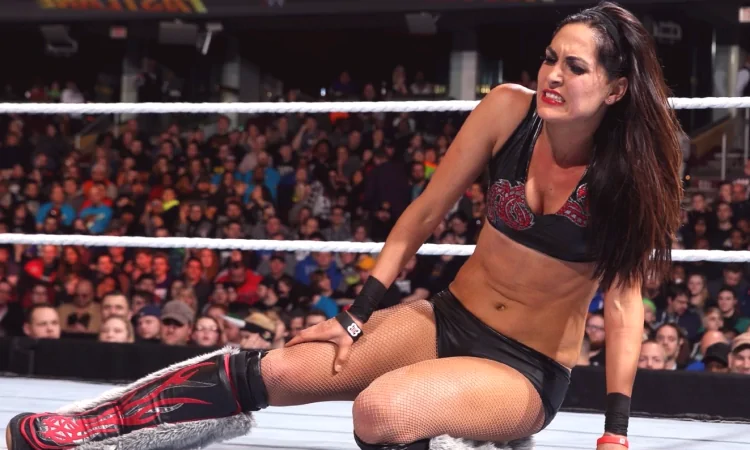 brie bella wwe ring